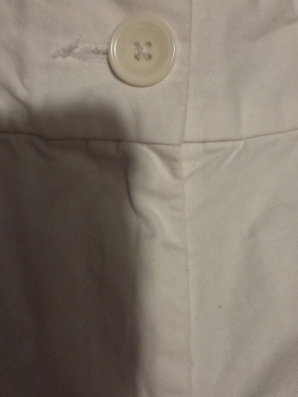 White Shorts Ann Taylor LOFT size 6 Classic Women's White Shorts Casual - Picture 3 of 3